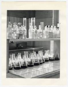 Photographie d’échantillons de colorants synthétiques. 1973 – 1993. ANMT 2000 18 27 58, Moreau (Marie-Paule et Bernard), délégués du personnel chez Les fils de Louis Mulliez (Phildar) et militants associatifs.