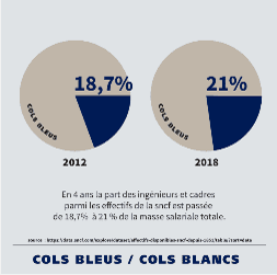 Cols bleus, cols blancs: Datavisualisation, Bénédicte Roland, 2020.