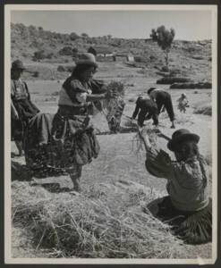 Agricultrices péruviennes, sans date.