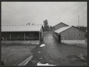 Hangars d'une exploitation agricole : photographie, [années 1980].