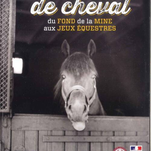 Vies de cheval