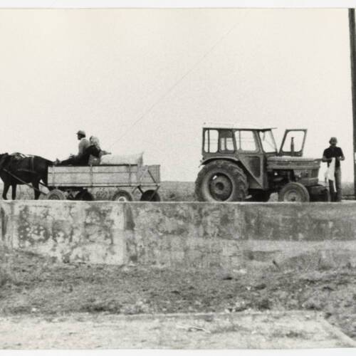 Les deux âges de l'agriculture grecque » : photographie (sans date). ANMT 2017 14 107, FNSEA.
