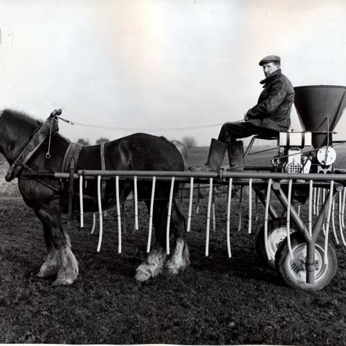 « Poudreuse » de marque Sauvage tractée par un cheval : photographie, sans date.