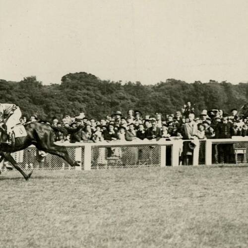 Vainqueur du grand prix de Paris, 1951