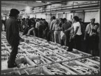 Vente en direct à la criée au retour de la pêche : photographie, [sans date].