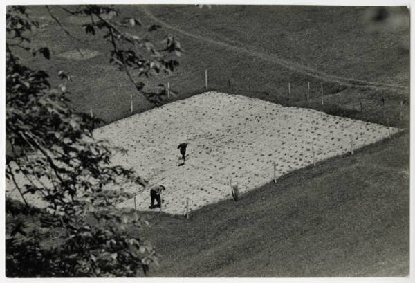 Basses Pyrénées, agriculture de montagne, mars 1964. Crédits : Jacques Windenberger,