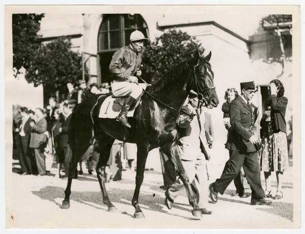 Jocket et étalon au départ d'une course (1951)