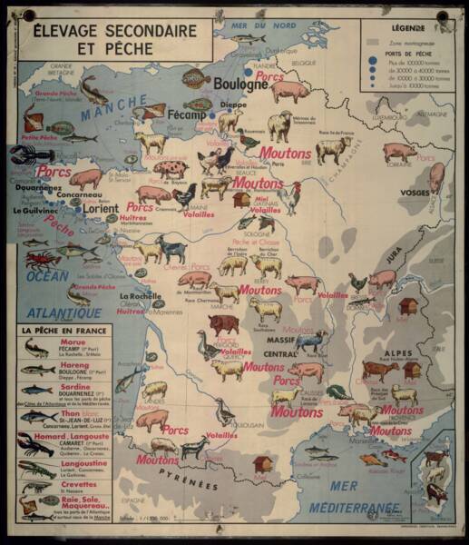 « Élevage secondaire et pêche » : carte scolaire, 1960.