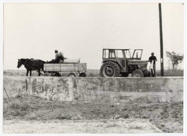 Les deux âges de l'agriculture grecque » : photographie (sans date).