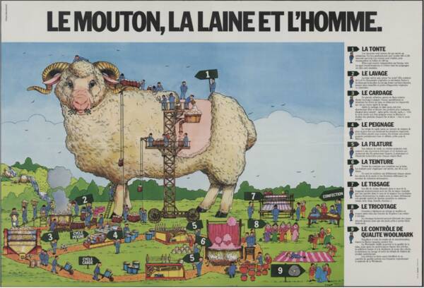 Affiche « Le mouton, la laine et l’homme », sans date.
